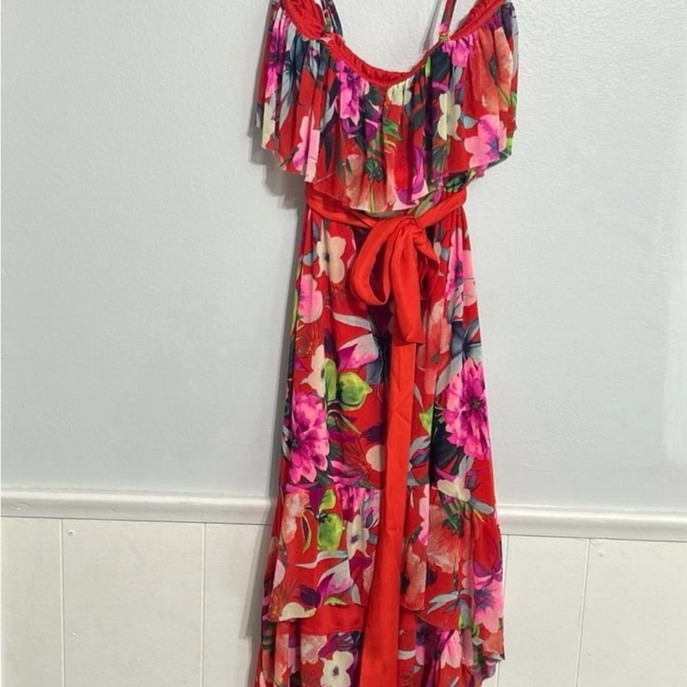 Express Vibrant Red Floral High Low Dress